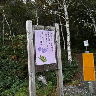 ここからスタート
