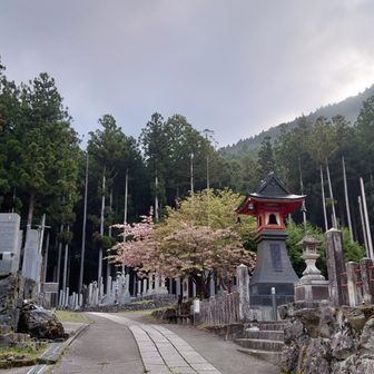 ようお参り🙏大峯山寺 九重守を頂きに山上ヶ岳 / 役行者の登山データ