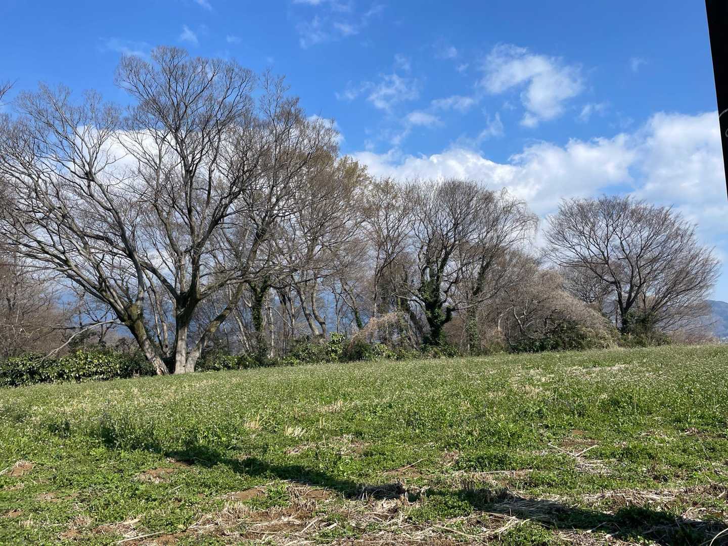 なかなか素敵な景色💓
桜の木多いので桜🌸の時期は賑やかでしょうね