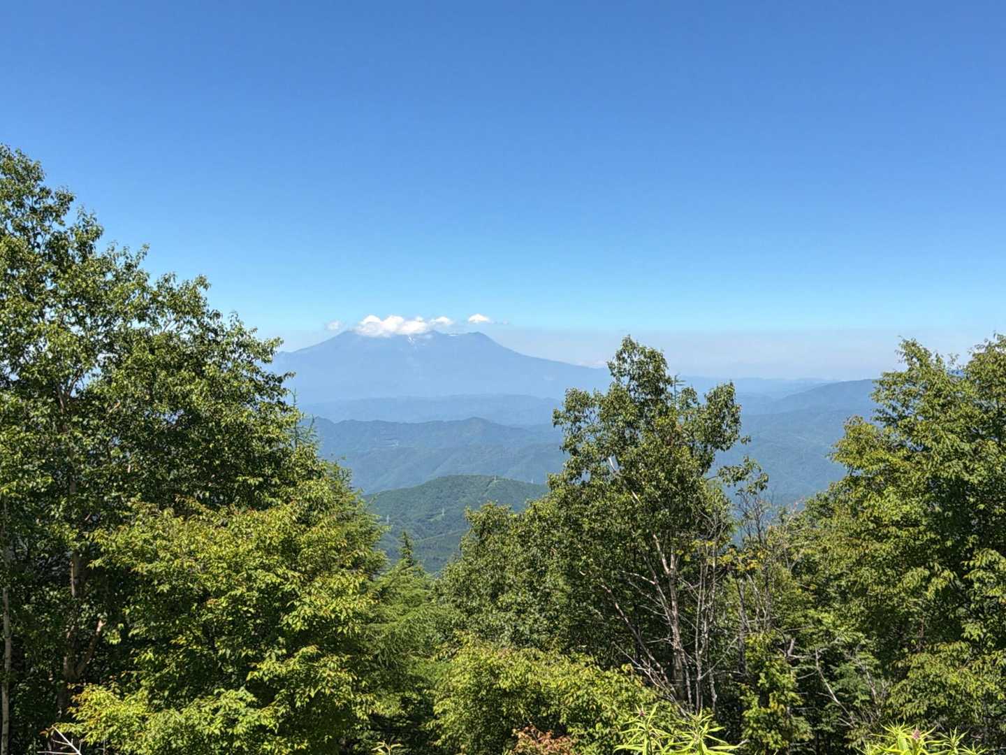 北沢山からの御嶽山👀