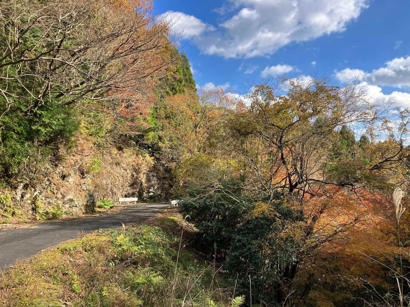 長いロード歩きの始まり