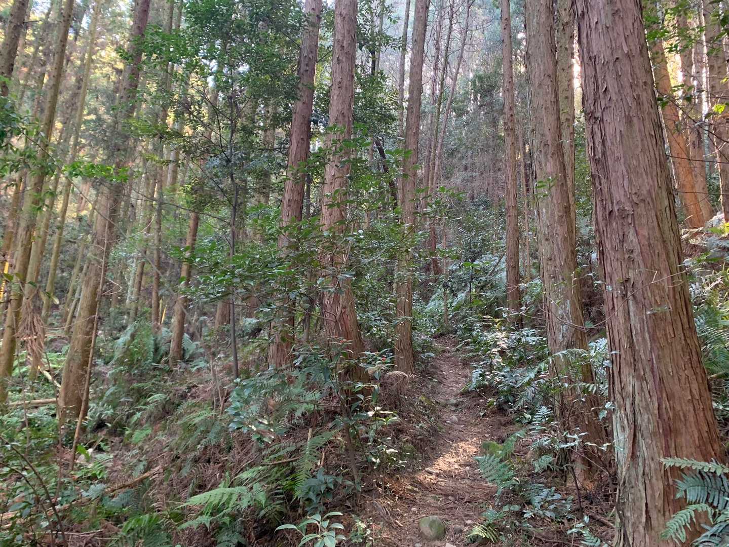 今度は天が峯へ🐾
お邪魔しまーす😆