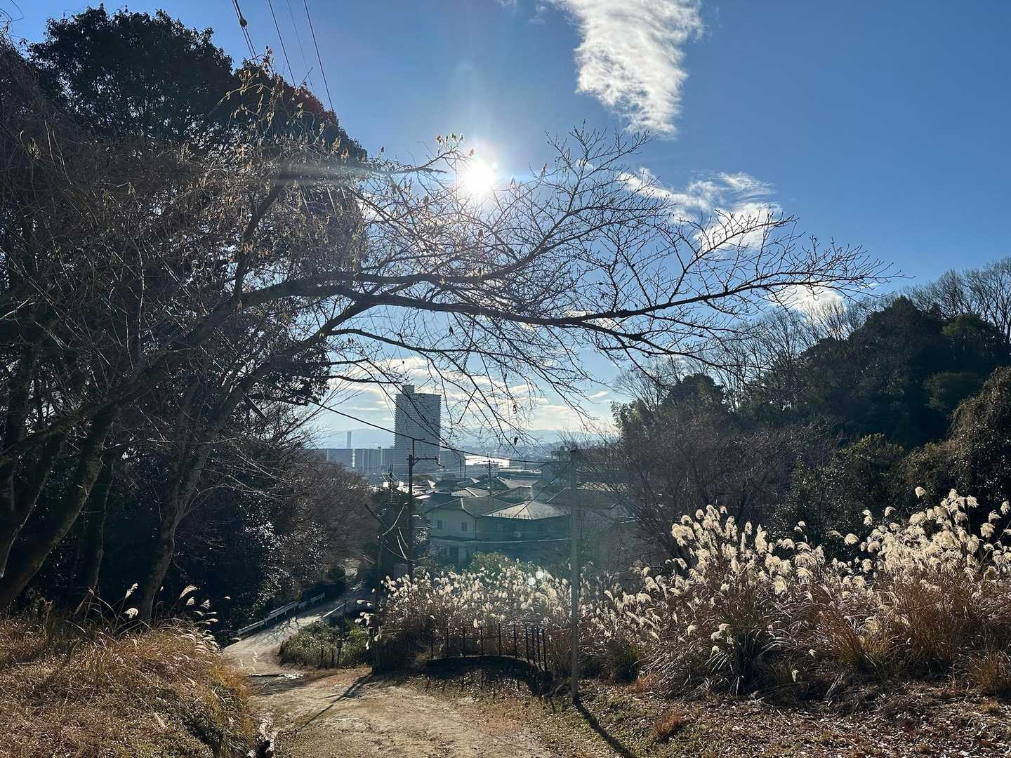 宇佐山 往復コースの写真
