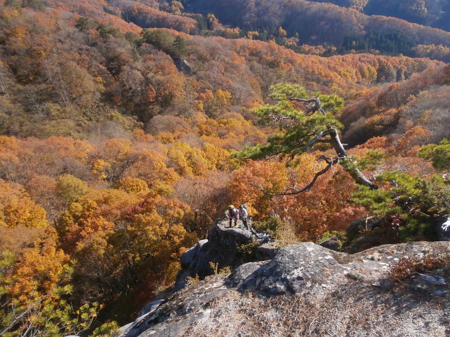 唐倉山（福島県）の写真