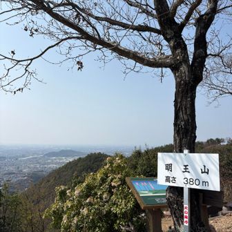 おおーー！綺麗