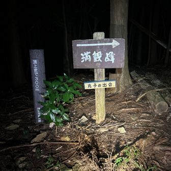 MAT本番コースと合流しました！

何とか今日中に、ここまで帰ってこれないかな…
