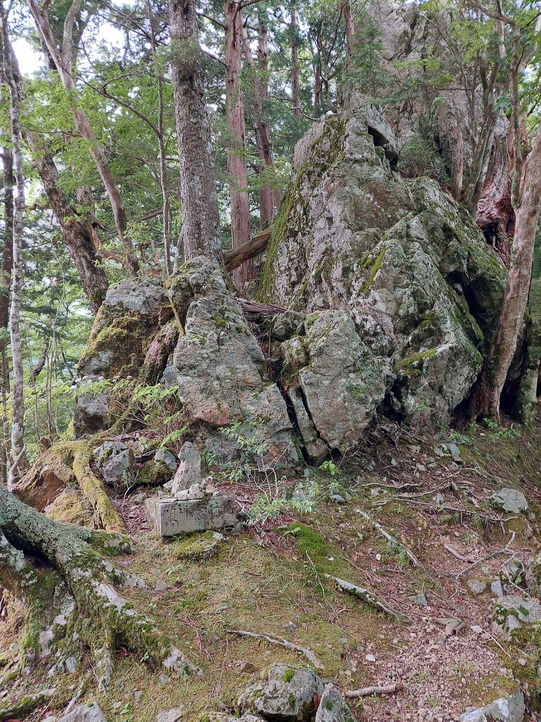 尼崎念仏講と彫られた台の上に、祀られてます。