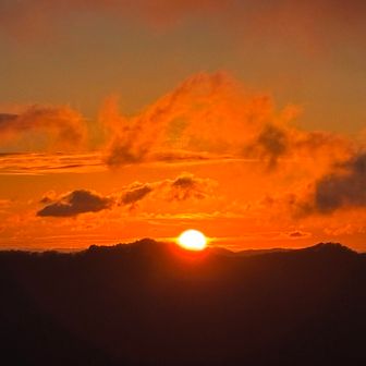 だんだん姿を現す