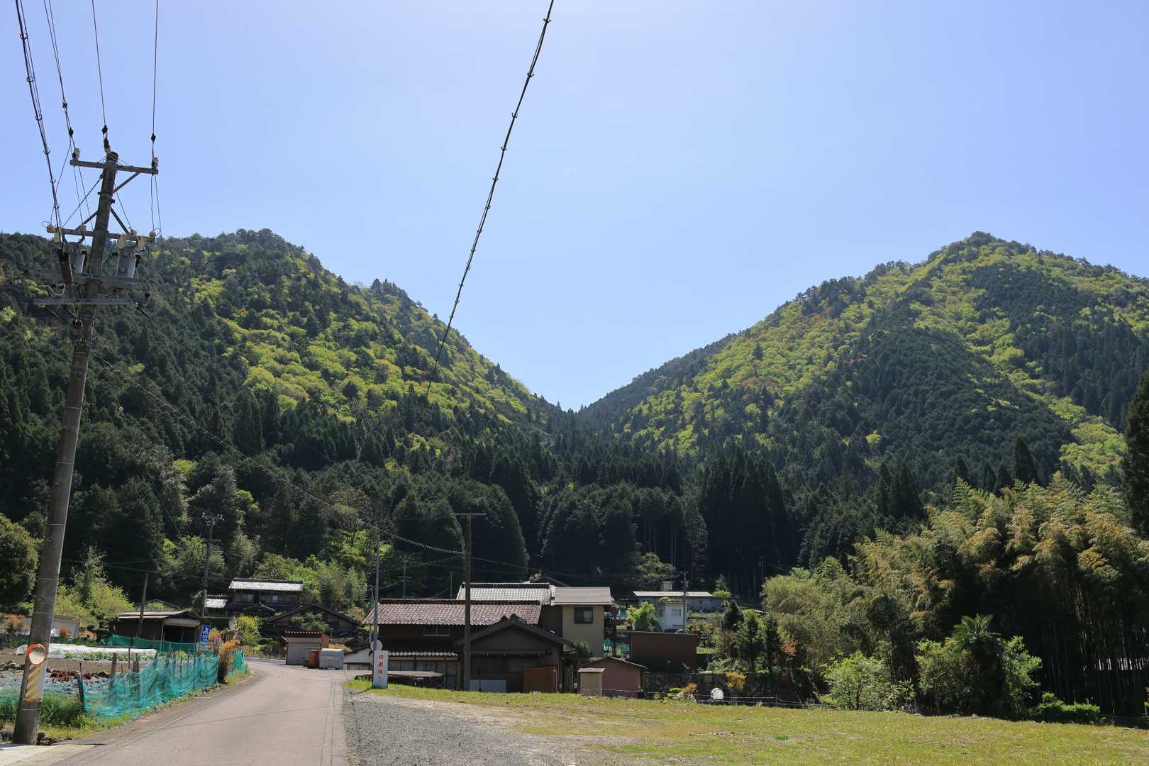 これから登る三棟山方面。右側？
