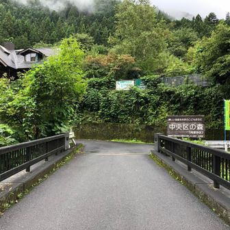 橋を渡ったら、右折します。「中央区の森」を目指します。