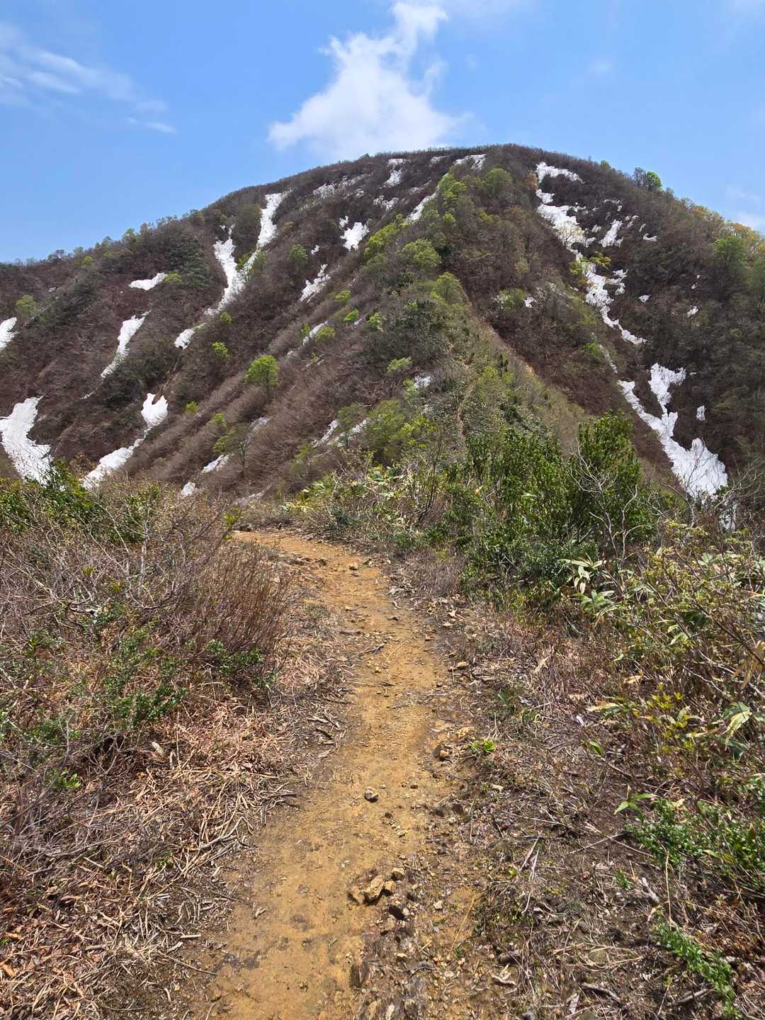 南丈競山が目の前にドーンと現れます
