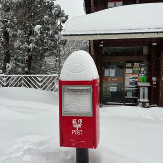 ポスト📮上に雪のお顔😊