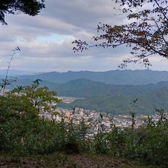 朝日放送鉄塔横の郭眺望　なんか時々明るい悲鳴のような声🤣