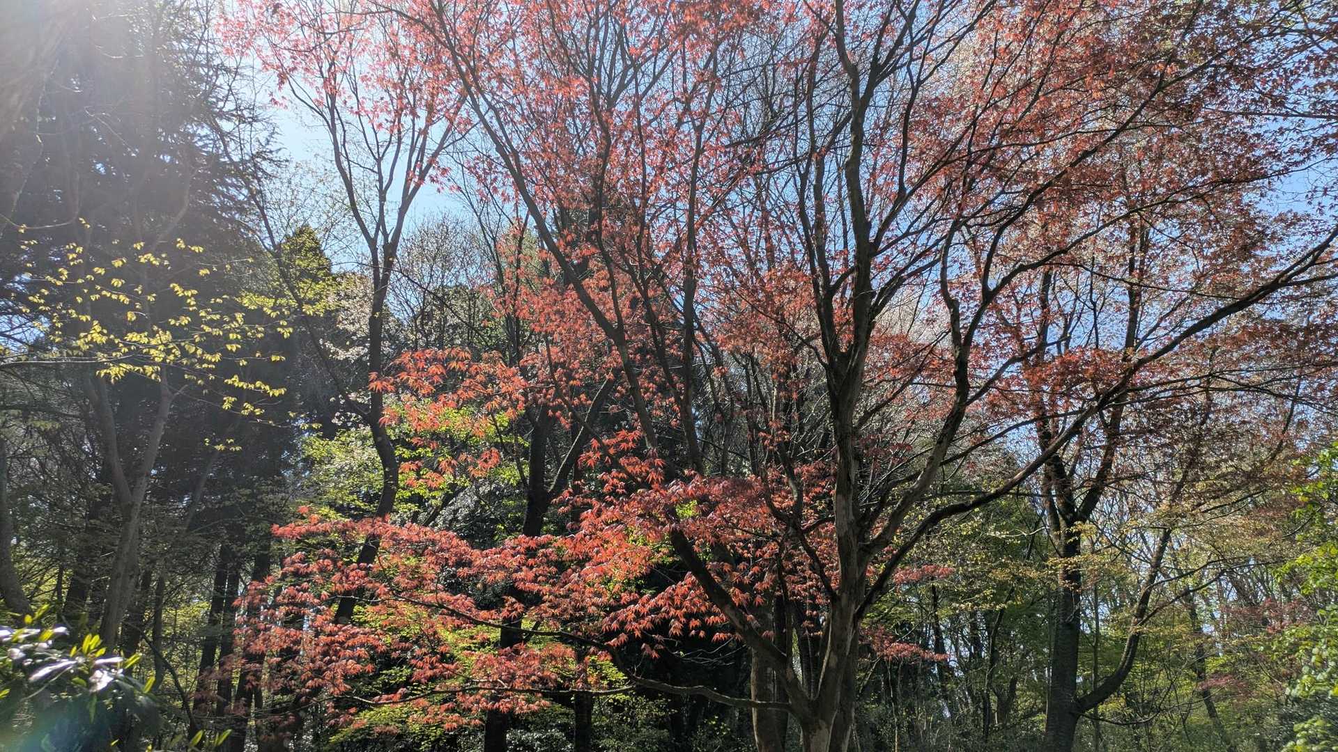 法尻山 往復コースの写真