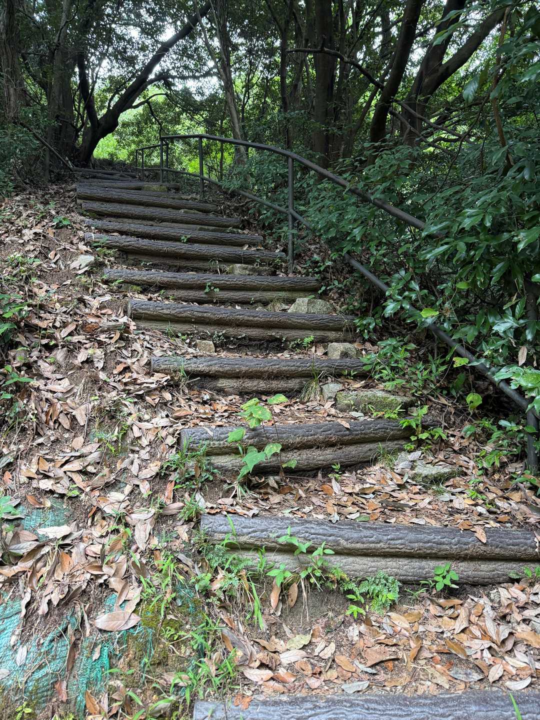 階段地獄のはじまり