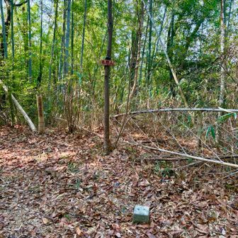 展望はありません。