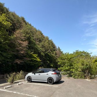 今日も一日ありがとうございます😊
最近設置された🤙
自販機に飲み物を買いに行くと…