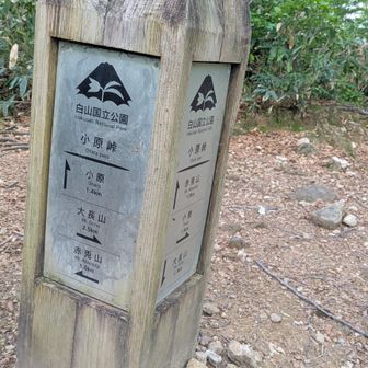 小原峠
少し奥に進もう
