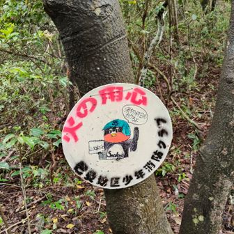 つば九郎