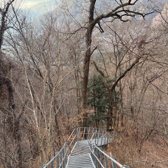 結構な長さ。でもこれがなかったら大変だろうな。有難いと思わねば。