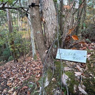 あとは下るだけ、ですが、ここもなかなか急でした💦