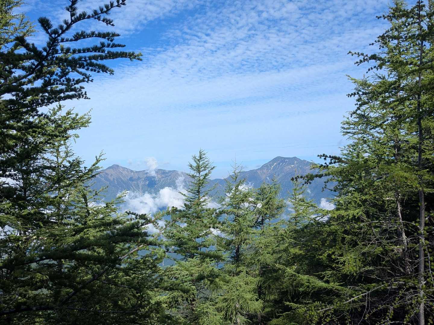 聖岳と上河内岳
