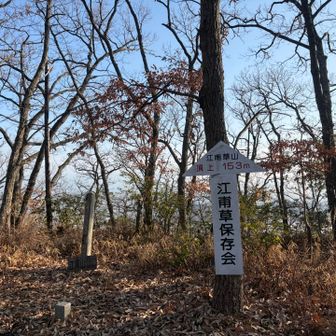 江甫草山（つくもやま）⛰️153m

山頂にはかつて
九十九（つくも）山城があったらしい

眺望はなし
先に展望台があります
