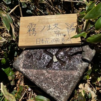 途中ルートロストもあり、苗場山から３時間かかってようやく霧ノ塔に到着
🎉🎉🎉🎉🎉