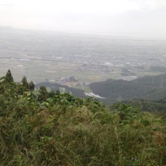坂井平野