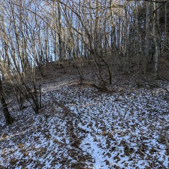 笹尾根縦走路が北面を通っている所は薄っすら雪が残ってました