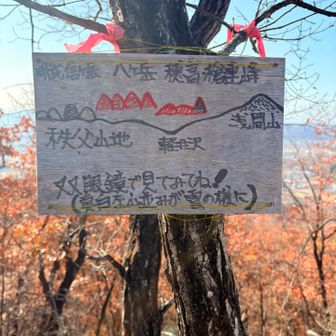 空気が澄んでると見えそうです