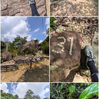 参道の景色一式。

8月31日。

参道途中で、左の岩の少ない道に。こちらを下ってくる人も多い。

夫婦岩。

8月31日。明日から9月。2026年も4か月。既に正月正月商戦突入。

中山寺奥之院。

ツインズイワタバコの妹。