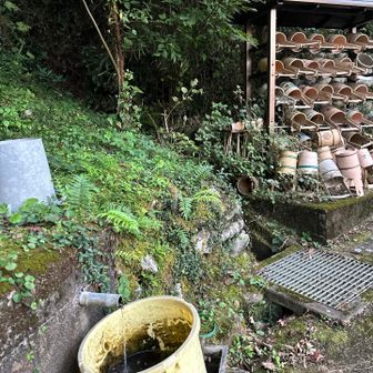 下山⤵️して、湧水有ったから顔洗う😃サッパリ