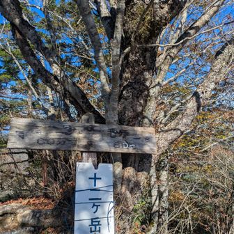 なんとか十二ヶ岳に到着！　山梨百名山にも選定されています