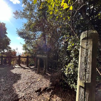 千羽ヶ岳に到着〜
標識はありません…😐