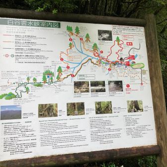 さて、ゴールしました、白谷雲水峡バス停。
11:35だから、タイムロスなかったら、前のバスに間に合ってた。