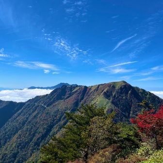 女山も急登？ジグザグが見えます😱