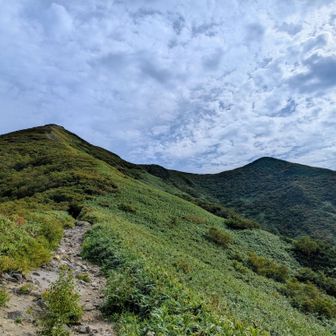 ひたすら登りですが早めの段階でひらけます
