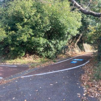 右手の所、直ぐに山道に入ります。