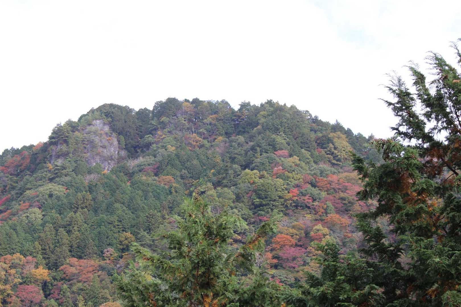 相戸岳 周回コースの写真