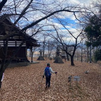 やっと帰ってきたぁ〜