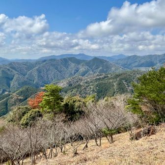 木間(こま)越しに美東方面
ここからも鯨ヶ岳と桂木山