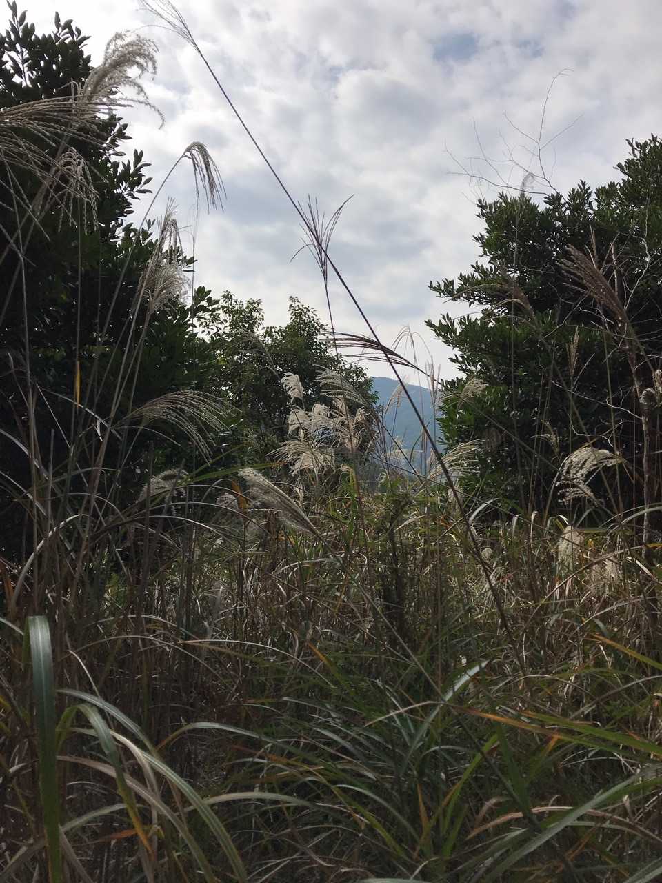 田代山山頂。