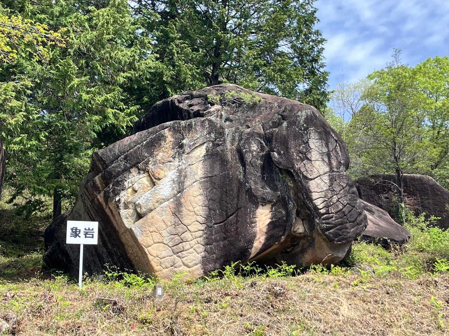 途中、「象岩🪨」がありました🐘
分かりにくいですが 高さは3m以上はありました😊