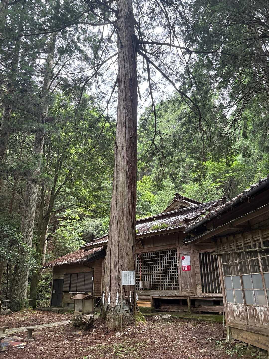 無事下山しましたー