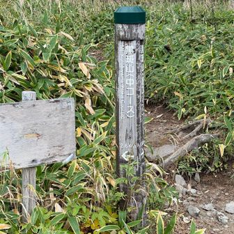 行きは表コース
帰りは中コース