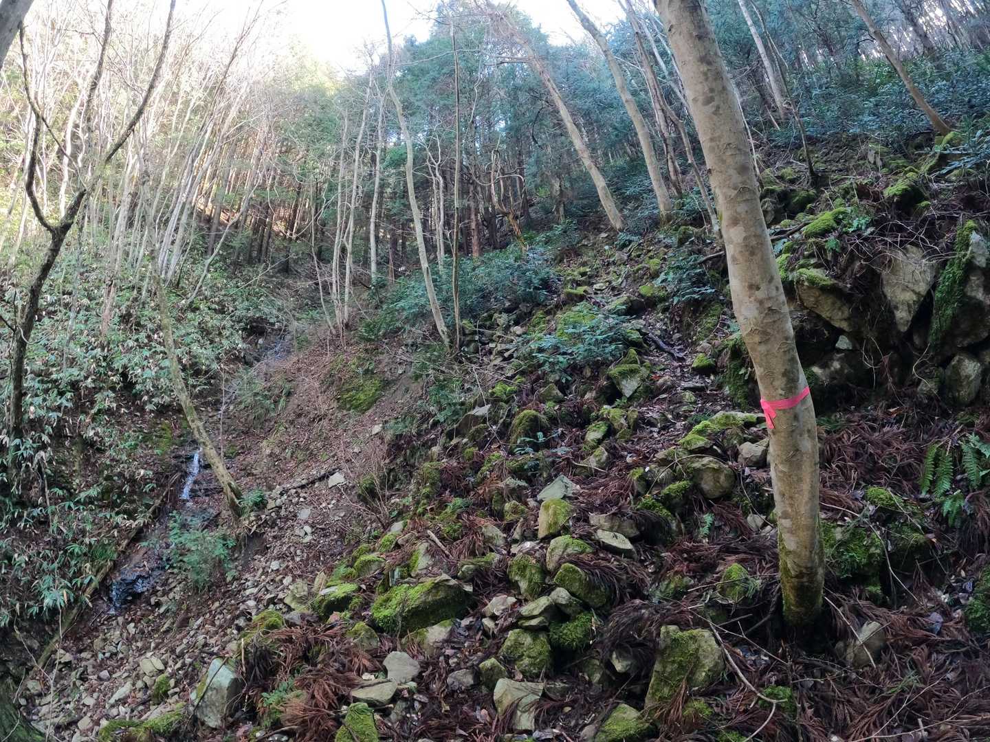 ４合目手前のガレ場急登
「落ち着いて丁寧に登った😮‍💨」
