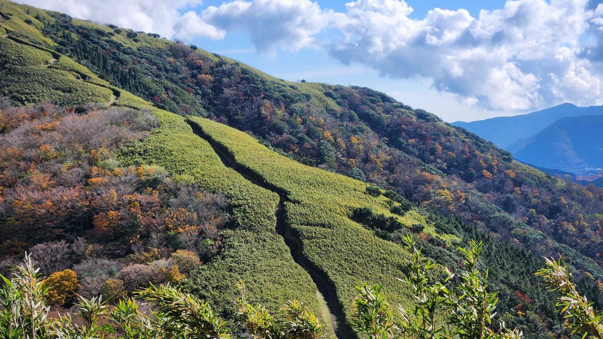 明神ヶ岳