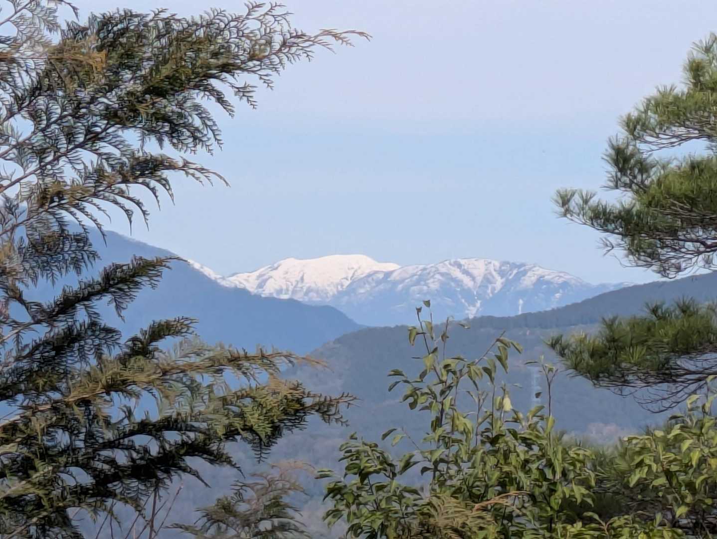 能郷白山🏔️