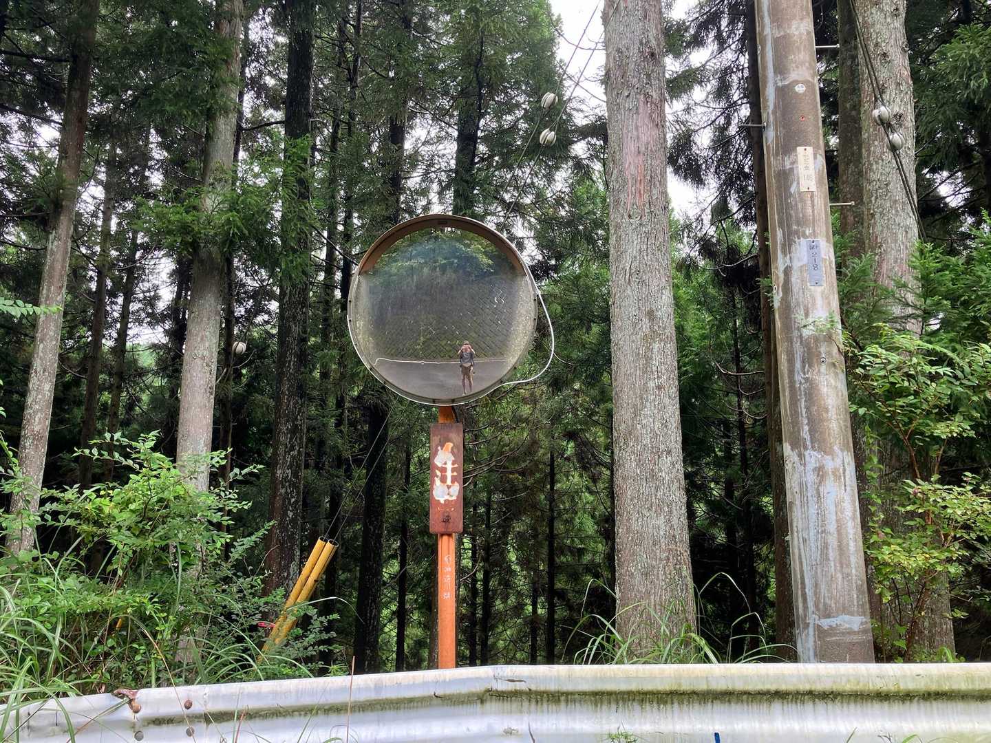 今日は一般ハイカーを写してスタートします▶️